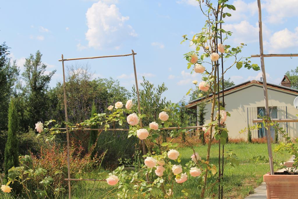 Agriturismo Dimore Di Poggianto Pergine Valdarno Buitenkant foto